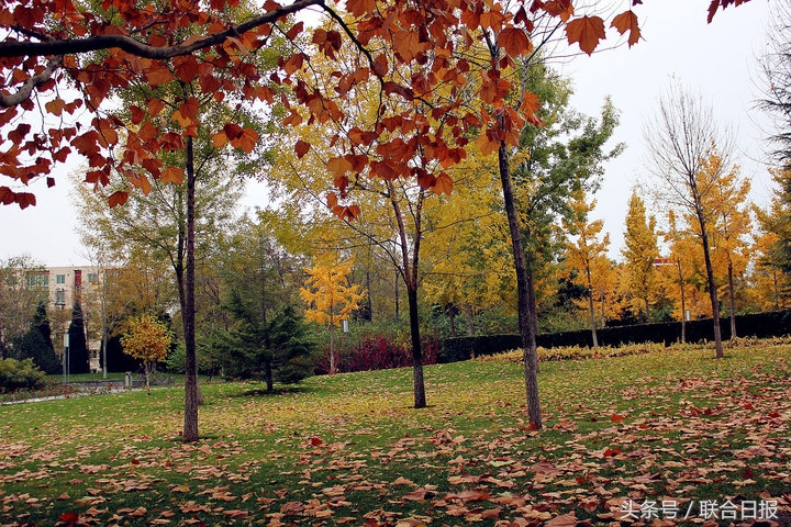 阳光星期八昕旺北苑,阳光星期八南苑