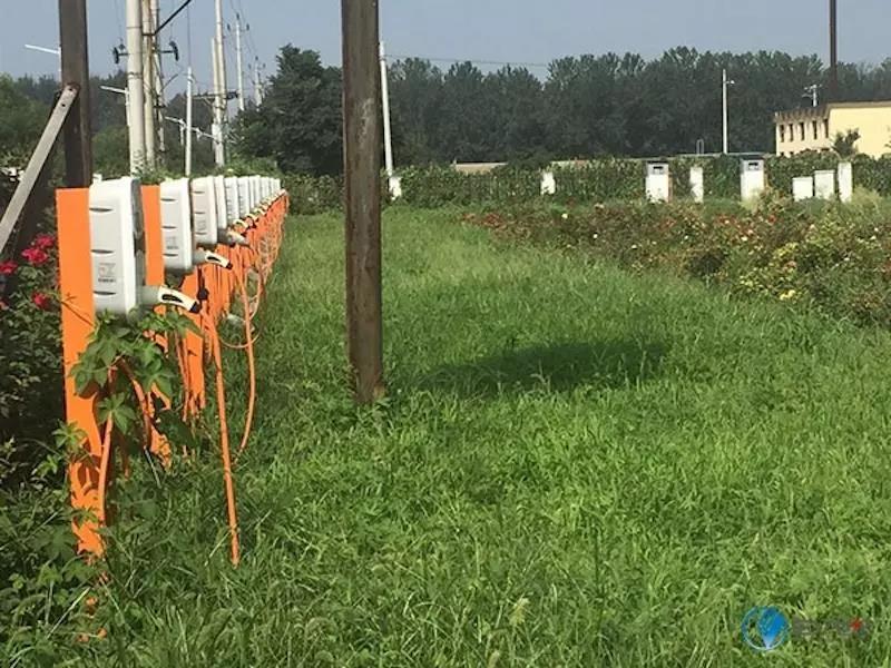 贾跃亭能造多少电动车,贾跃亭最新电动车