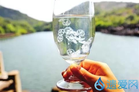 水中大熊猫全国仅3只图片,罕见水中大熊猫桃花水母现身云南