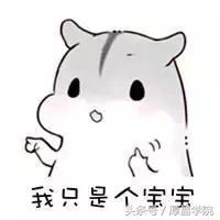 为什么很多人叫宝宝,为什么自称宝宝