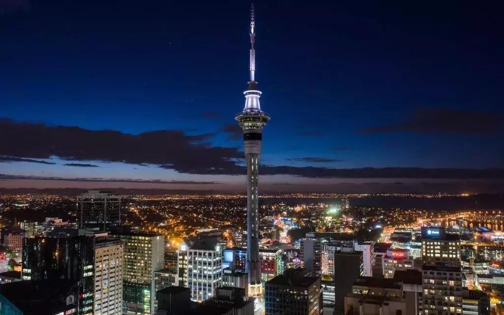 “锦鲤”信小呆的经历,中国锦鲤信小呆环游世界2年归来