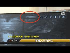 雨夜肇事逃逸致人死亡,凌晨交通肇事逃逸致人死亡