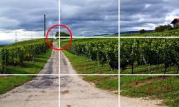 单反数码摄影入门教程,数码单反摄影进阶完全教程