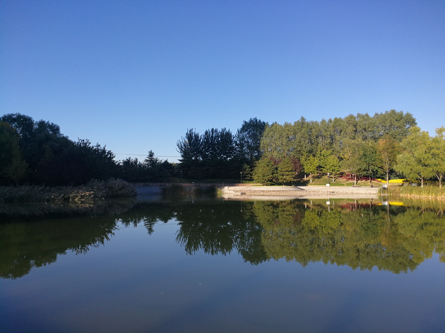 海外代购会出现哪些问题,严厉打击代购政策