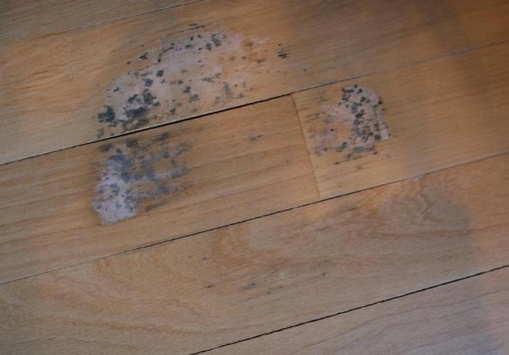 家具长时间不用怎么防灰,家具长期不用怎么防霉