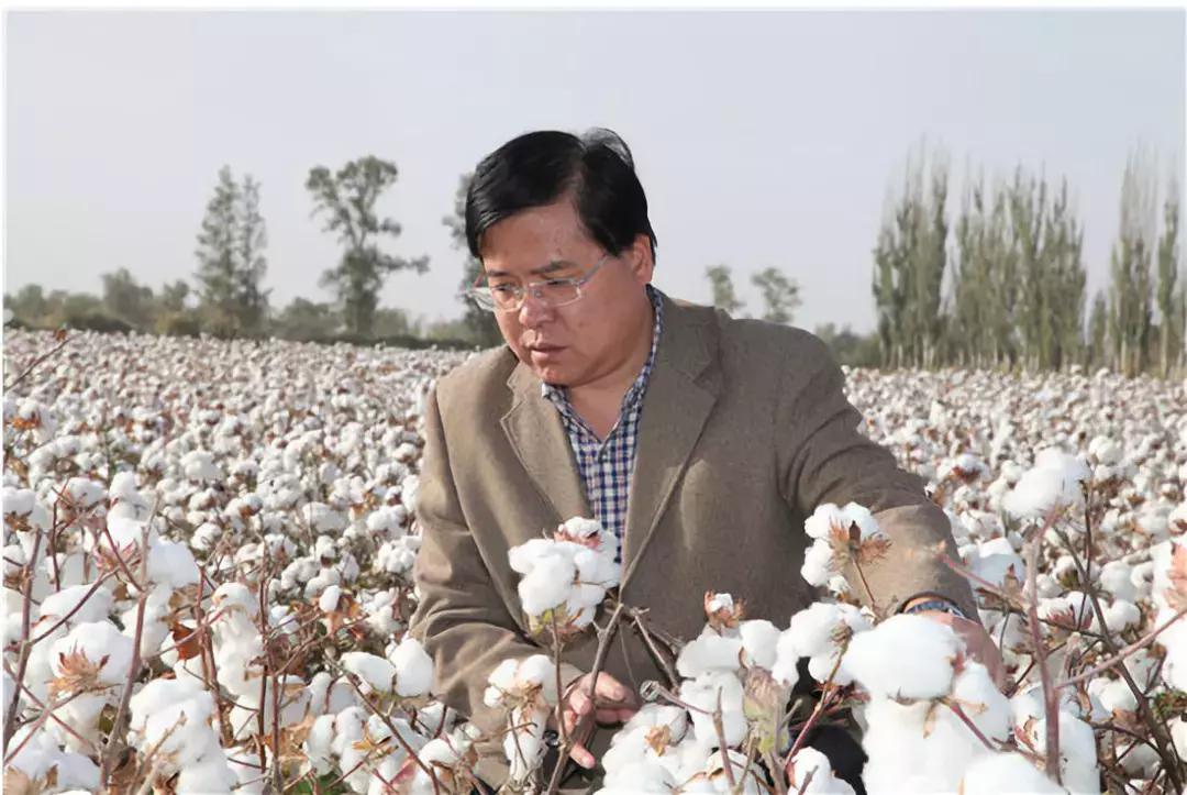 中国是第一大生产国吗,为啥我国是最大的粮食进口国