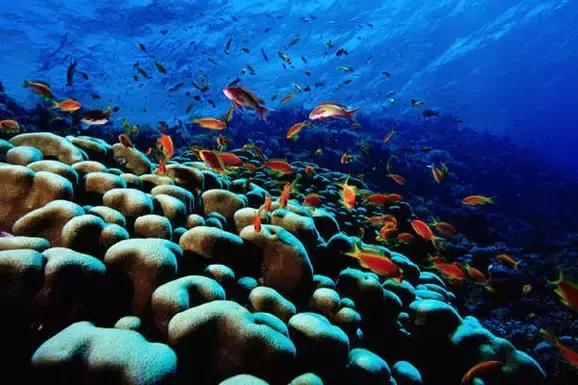 这里到底有什么特别之处,让众多明星沉迷在此?