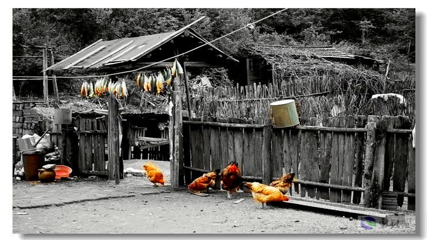 赵二小,赵二狗和小赵全集