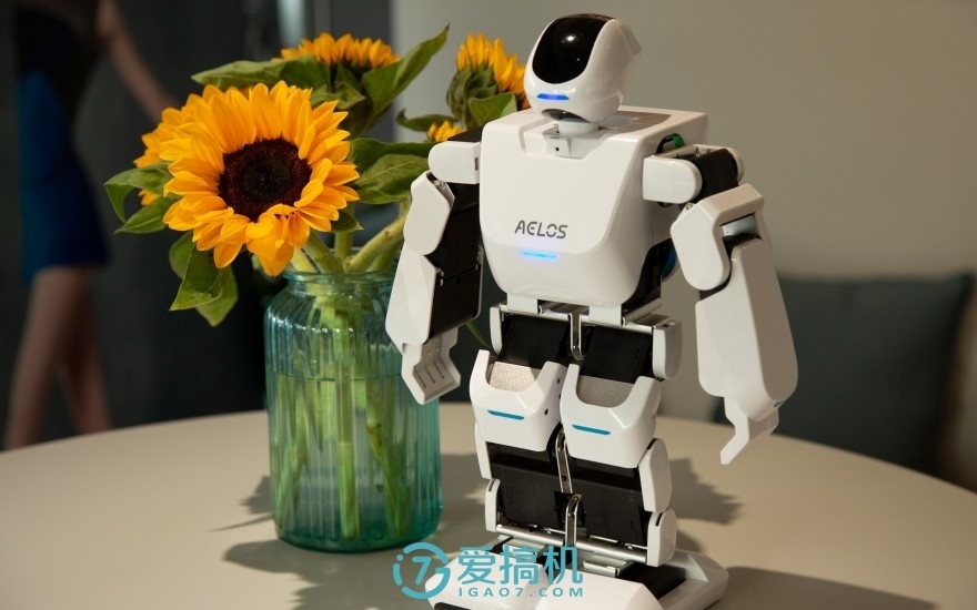 阿尔法悟空机器人评测,aelos智能机器人基本教程