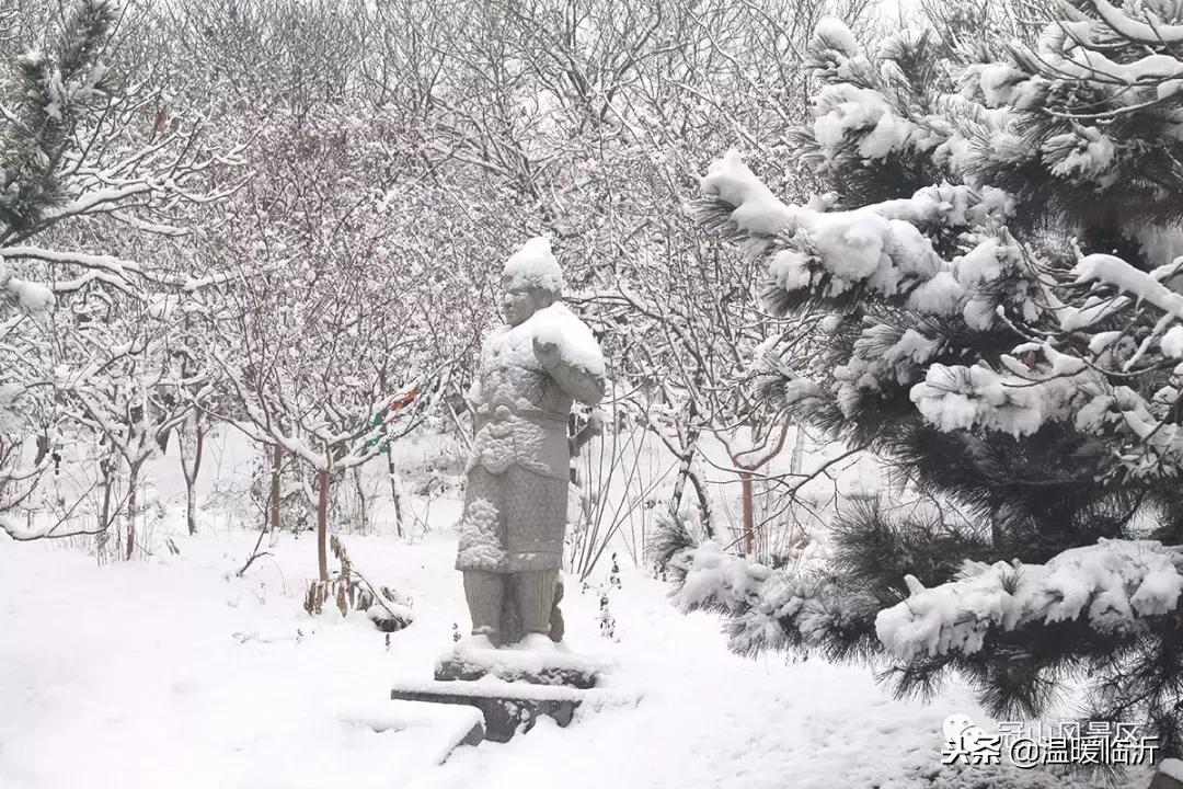 雪后的临沭小城，美得令人窒息