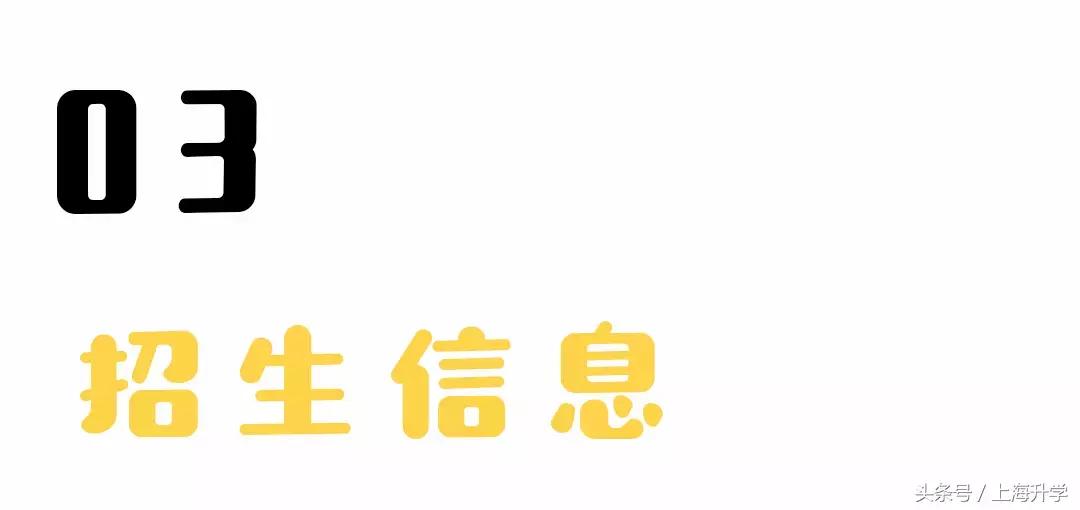 上海民办张江集团学校,浦东新区张江集团学校