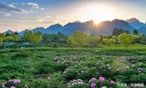 最实用的成语集锦,史上最全成语分类汇总