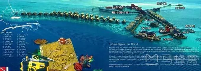 9次带队、36次飞行、189人的深度体验——史上最全仙本那攻略