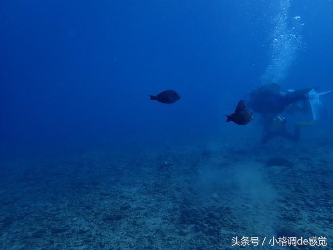 塞班岛自由行全攻略,带你上天下海游遍全球不是梦