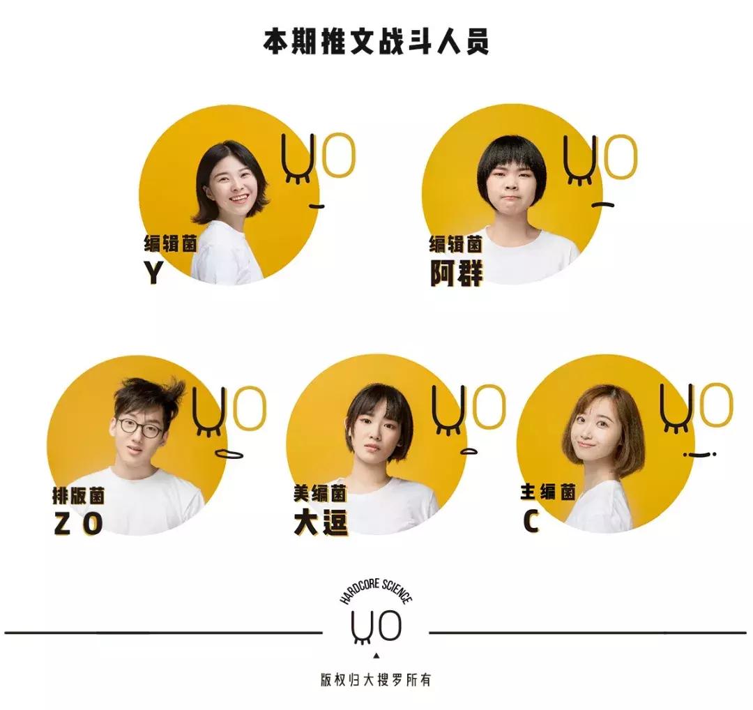 张歆艺王鸥娄艺潇,张歆艺娄艺潇综艺