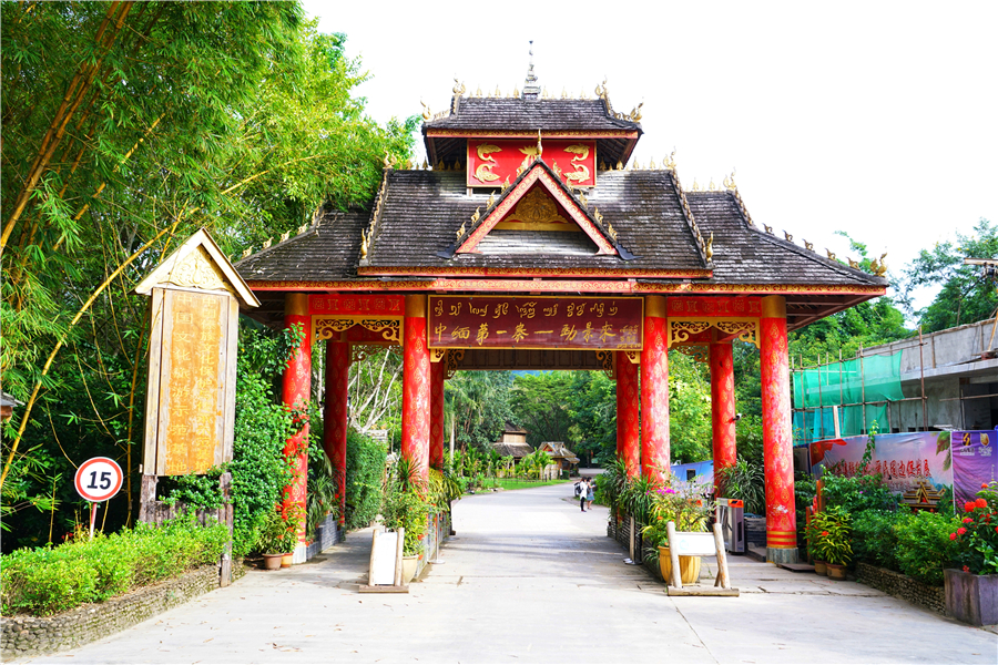 秀丽神奇的西双版纳完整版,云南西双版纳神奇的地方