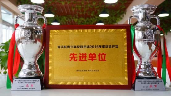 成都梦之队小学免费课程,小学足球梦之队