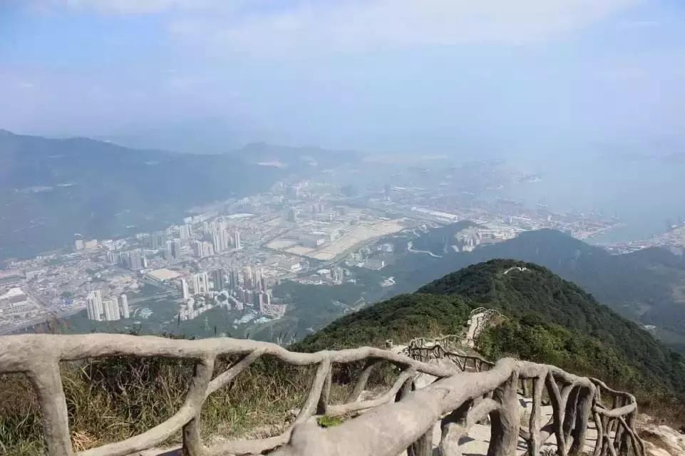 梧桐山风景区登山步道惊现野猪,在梧桐山上遇见野猪该怎么办
