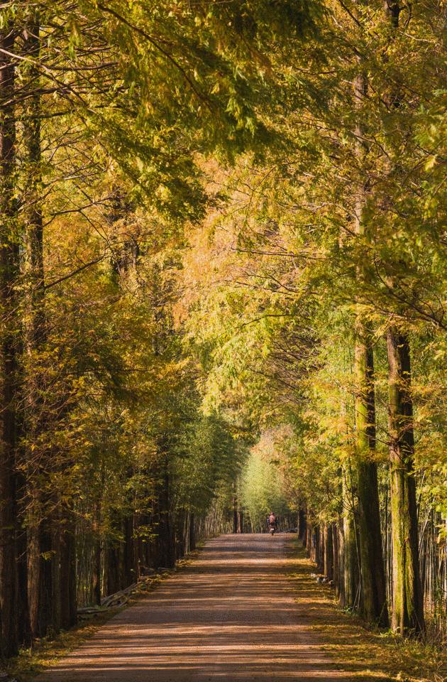 沪苏湖高铁上海到横店,沪苏湖高铁上海到安庆