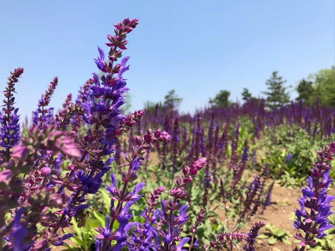 南京汤山温泉天气,汤山风景区秋天