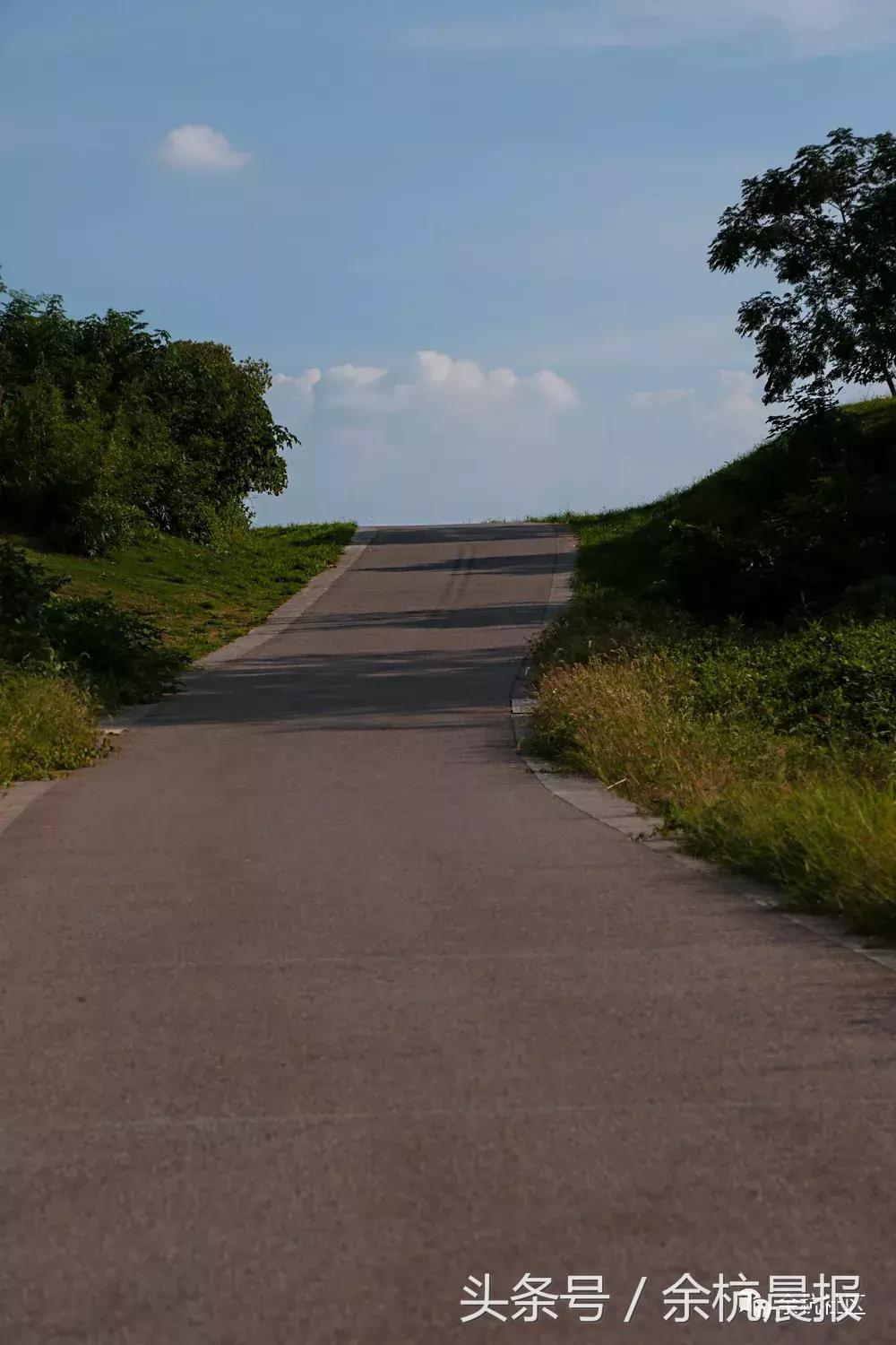 9090000㎡！余杭新增一大型公园，1299个足球场大！