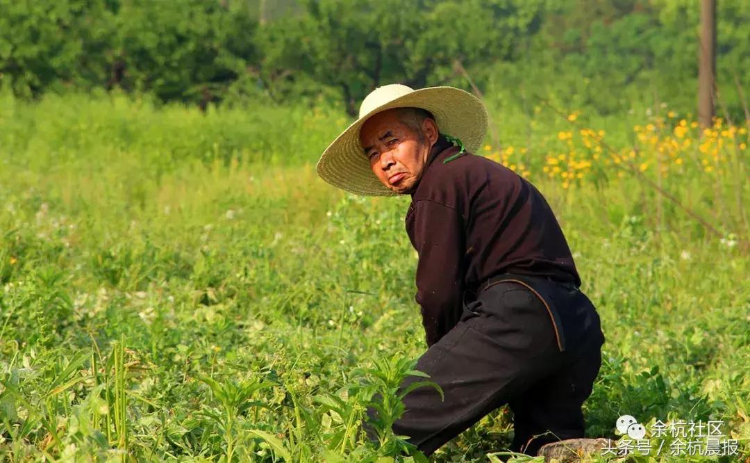 9090000㎡！余杭新增一大型公园，1299个足球场大！