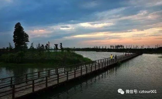 常州免费十大景区一日游路线推荐,常州旅游十大景区有哪些