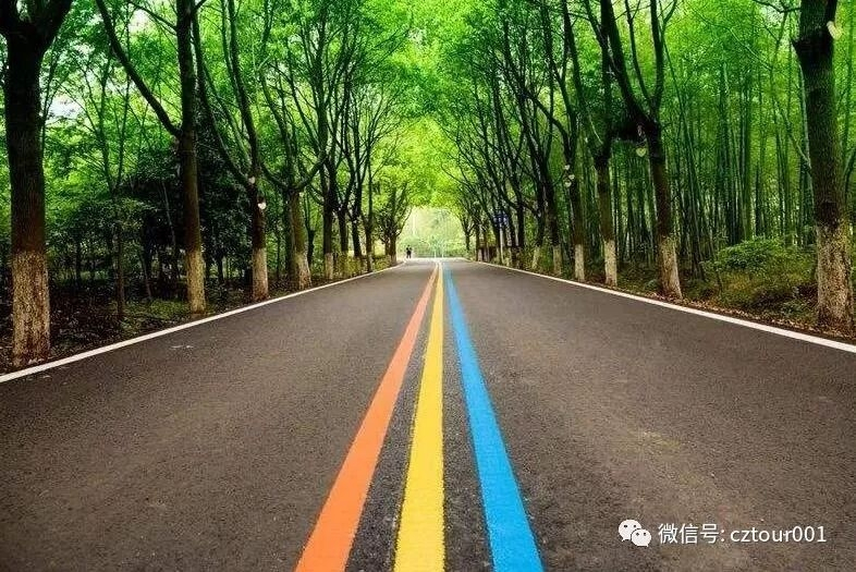 常州免费十大景区一日游路线推荐,常州旅游十大景区有哪些