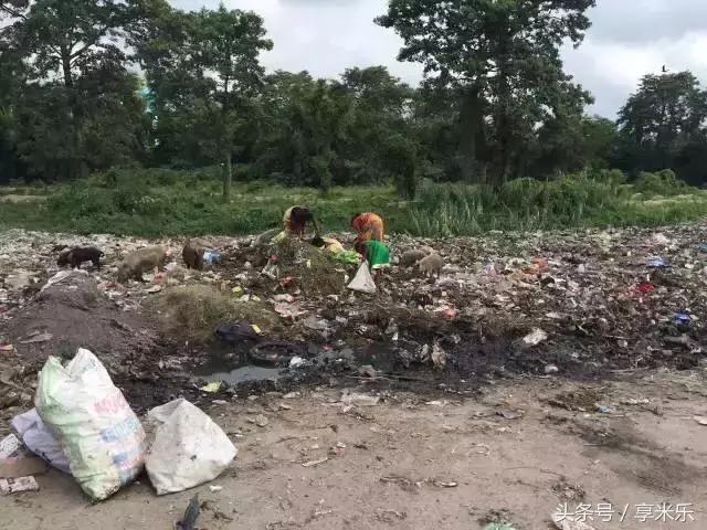 瀹垮窞灏忎紮楠戣瑗胯棌,瀹垮窞灏忎紮楠戣涓浗