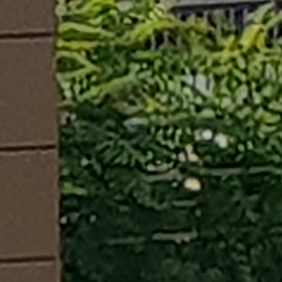 三星galaxynote9颜值,三星galaxynote4拍照