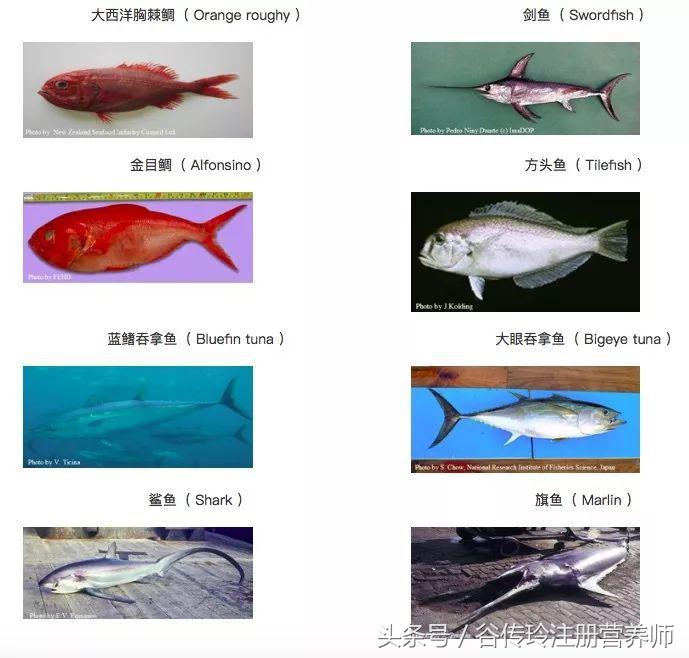 孕期不能吃辛辣食物有哪些,孕期不能吃海鲜吃啥有营养