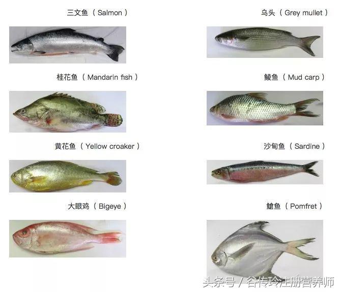 孕期不能吃辛辣食物有哪些,孕期不能吃海鲜吃啥有营养