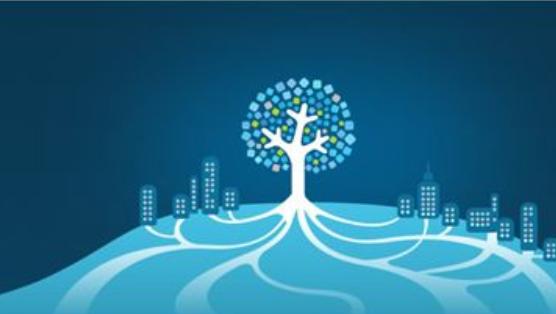 锦鲤营销策划思路和方法怎么写,锦鲤营销