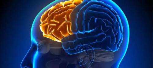 人体各器官过了保质期该怎么办,人体各个器官的保质期有多久