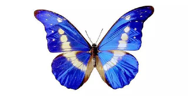 pm设计logo,logo设计日常分享