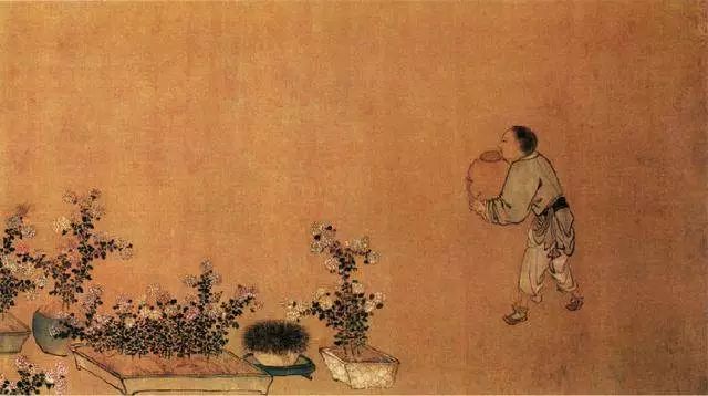 菊花什么人不建议吃呢,菊花可以吃下去吗