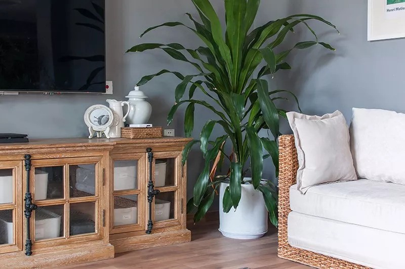 58平米老破房神级爆改,28平米老房爆改精致四居后续