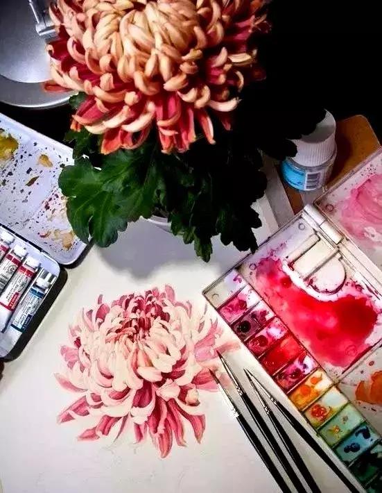 史上最全绘画软件,史上最全的绘画资源