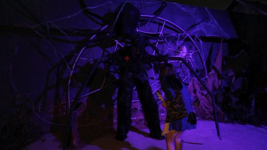 万圣夜珠海长隆,广州长隆万圣节怎么玩