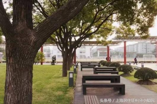 上海魔都高中学校,魔都十大重点高中