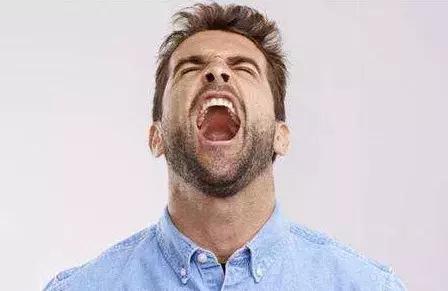 菊花都有哪些作用和功效,各种菊花都有什么功效