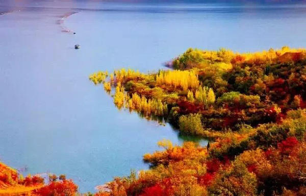 河南秋天最美红叶景区,河南最美红叶路线