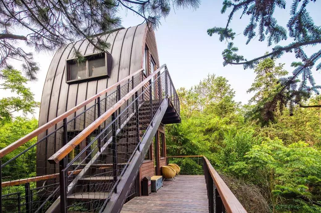 这片媲美京都的红叶之森只藏15栋梦幻树屋，杭州1.5h直达！