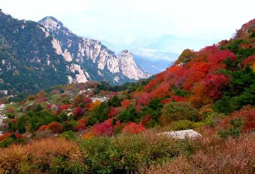 不伦瑞克对杜塞尔多夫实单,杜塞尔多夫4比3大逆转