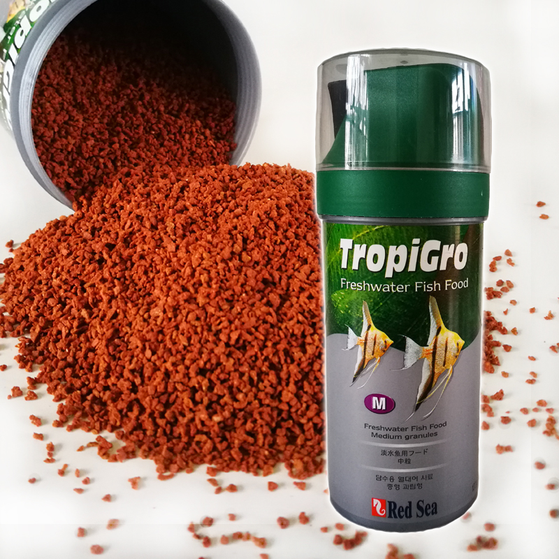 观赏鱼饲料好坏对鱼的影响,观赏鱼买什么饲料最好