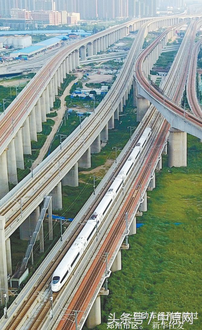 人民日报点评郑州,人民日报光明日报力挺莫言