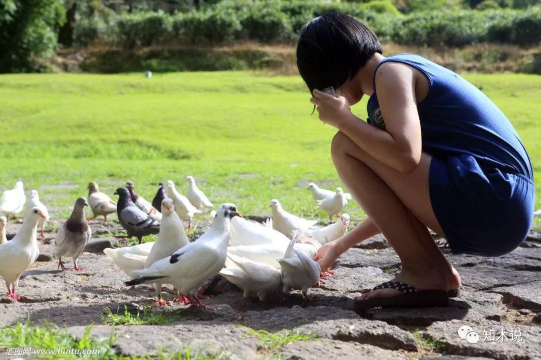 新加坡的罚款之城,新加坡被称为罚款之城