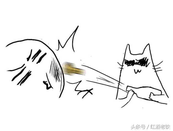 红酒洋酒白酒啤酒照片大全,起泡酒红酒区别