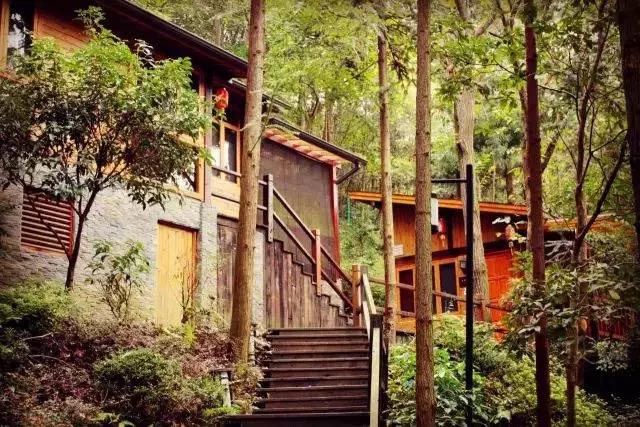 浙江十大温泉民宿排名,江浙沪温泉度假别墅5房