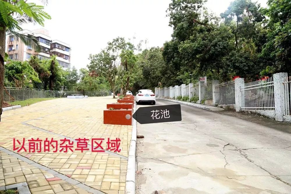 珠海香洲,背街小巷也漂亮